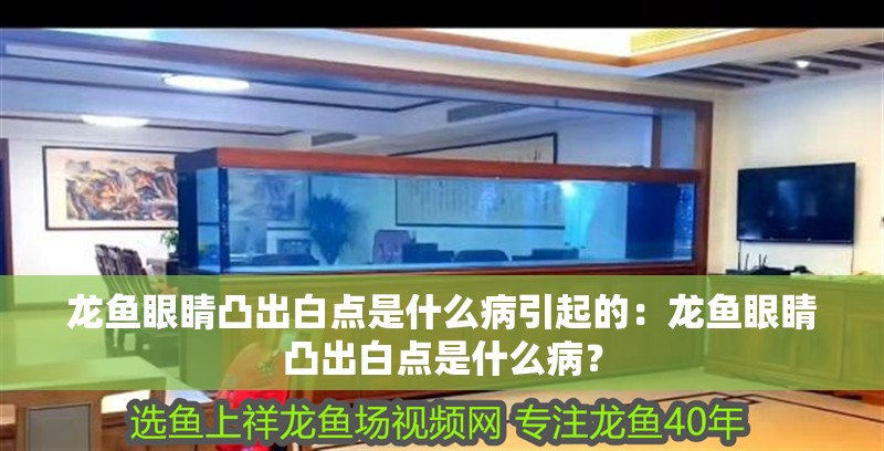 龍魚眼睛凸出白點是什么病引起的：龍魚眼睛凸出白點是什么病？