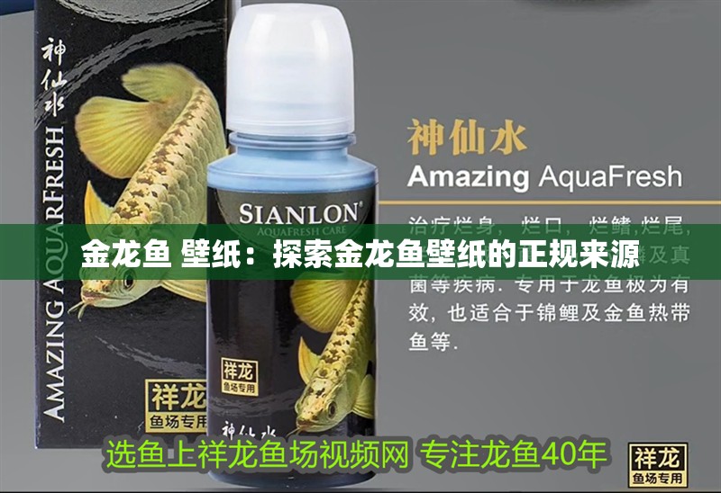 金龍魚 壁紙：探索金龍魚壁紙的正規來源