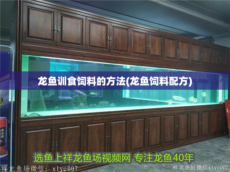 龍魚訓食飼料的方法(龍魚飼料配方)