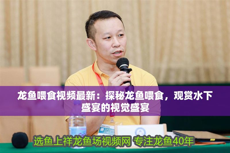 龍魚(yú)喂食視頻最新：探秘龍魚(yú)喂食，觀賞水下盛宴的視覺(jué)盛宴