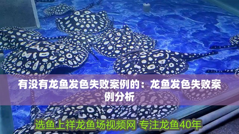 有沒有龍魚發色失敗案例的：龍魚發色失敗案例分析