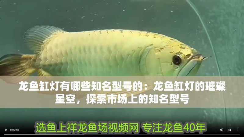 紅龍魚用黃燈烤有用嗎 龍魚缸燈有哪些知名型號的:龍魚缸燈的璀璨星空,探索市場上的知名型號 水族問答 龍魚缸燈有哪些知名型號的:龍魚缸燈的璀璨星空,探索市場上的知名型號 龍魚缸燈有哪些知名型號的:龍魚缸燈的璀璨星空,探索市場上的知名型號 水族問答