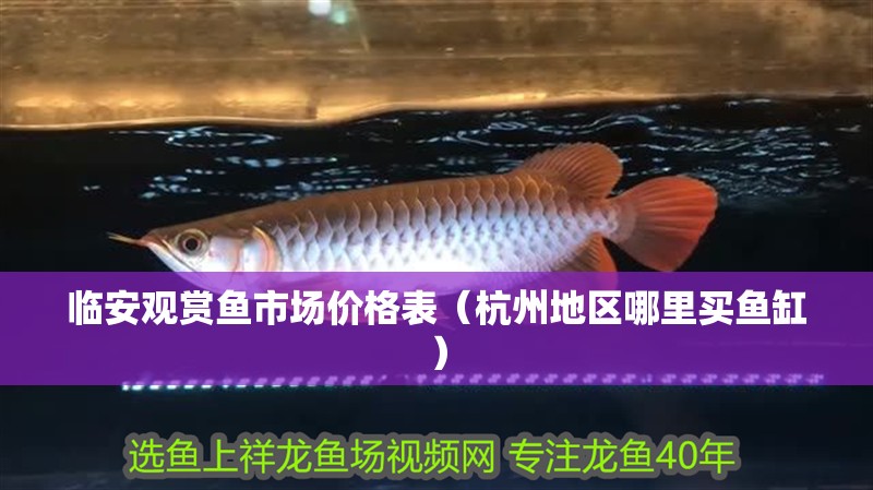 臨安觀賞魚市場價格表（杭州地區哪里買魚缸） 臨安觀賞魚市場價格表（杭州地區哪里買魚缸） 觀賞魚百科