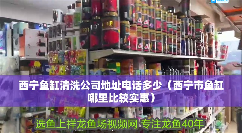 西寧魚缸清洗公司地址電話多少（西寧市魚缸哪里比較實惠）