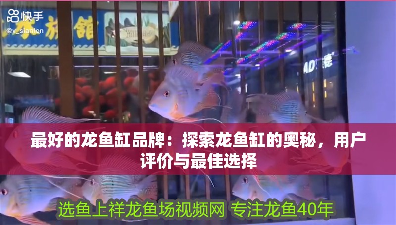 最好的龍魚缸品牌：探索龍魚缸的奧秘，用戶評價與最佳選擇 最好的龍魚缸品牌：探索龍魚缸的奧秘，用戶評價與最佳選擇 水族問答