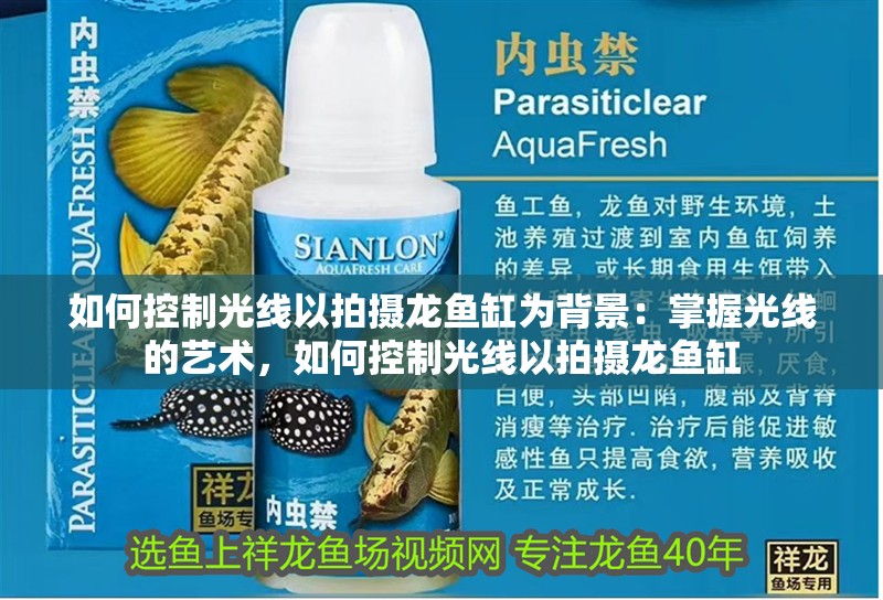 如何控制光線以拍攝龍魚缸為背景：掌握光線的藝術，如何控制光線以拍攝龍魚缸