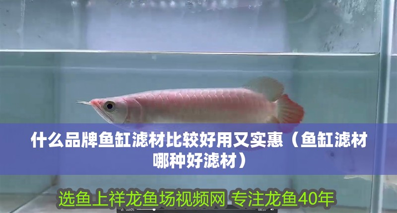 什么品牌魚缸濾材比較好用又實惠（魚缸濾材哪種好濾材） 什么品牌魚缸濾材比較好用又實惠（魚缸濾材哪種好濾材） 觀賞魚百科