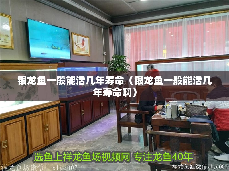 給大魚缸換水的作文:體驗(yàn)給大魚缸換水的樂趣:體驗(yàn)給大魚缸換水:給大魚缸換水的作文 銀龍魚一般能活幾年壽命(銀龍魚一般能活幾年壽命啊) 觀賞魚百科 銀龍魚一般能活幾年壽命(銀龍魚一般能活幾年壽命啊) 銀龍魚一般能活幾年壽命(銀龍魚一般能活幾年壽命啊) 觀賞魚百科