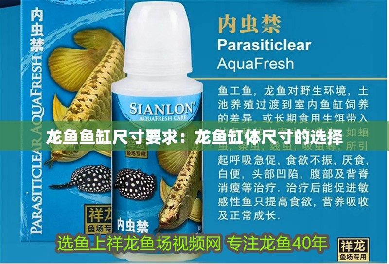 龍魚魚缸尺寸要求：龍魚缸體尺寸的選擇