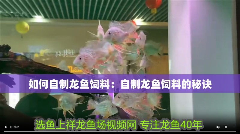 如何自制龍魚飼料：自制龍魚飼料的秘訣