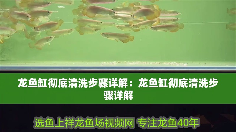 龍魚缸徹底清洗步驟詳解：龍魚缸徹底清洗步驟詳解