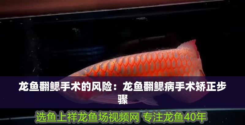 龍魚翻鰓手術的風險：龍魚翻鰓病手術矯正步驟 龍魚翻鰓手術的風險：龍魚翻鰓病手術矯正步驟 水族問答