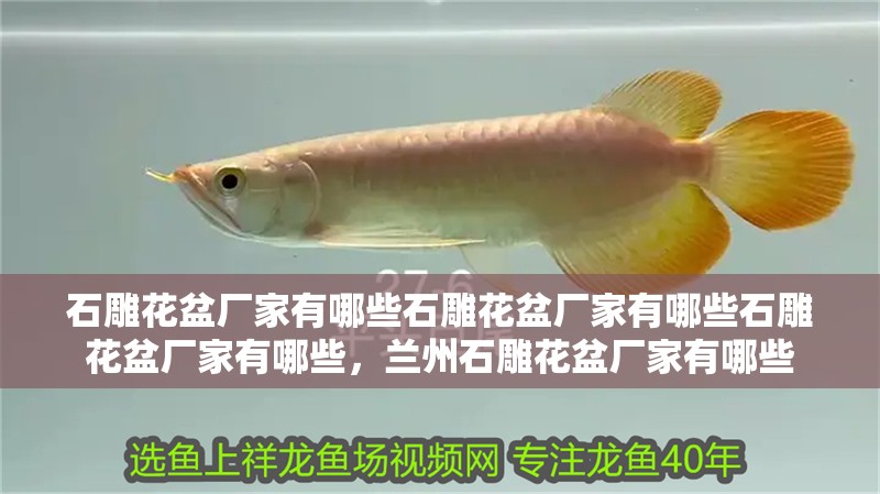 石雕花盆廠家有哪些石雕花盆廠家有哪些石雕花盆廠家有哪些，蘭州石雕花盆廠家有哪些 石雕花盆廠家有哪些石雕花盆廠家有哪些石雕花盆廠家有哪些，蘭州石雕花盆廠家有哪些 觀賞魚百科