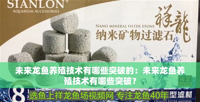 未來龍魚養(yǎng)殖技術(shù)有哪些突破的：未來龍魚養(yǎng)殖技術(shù)有哪些突破？