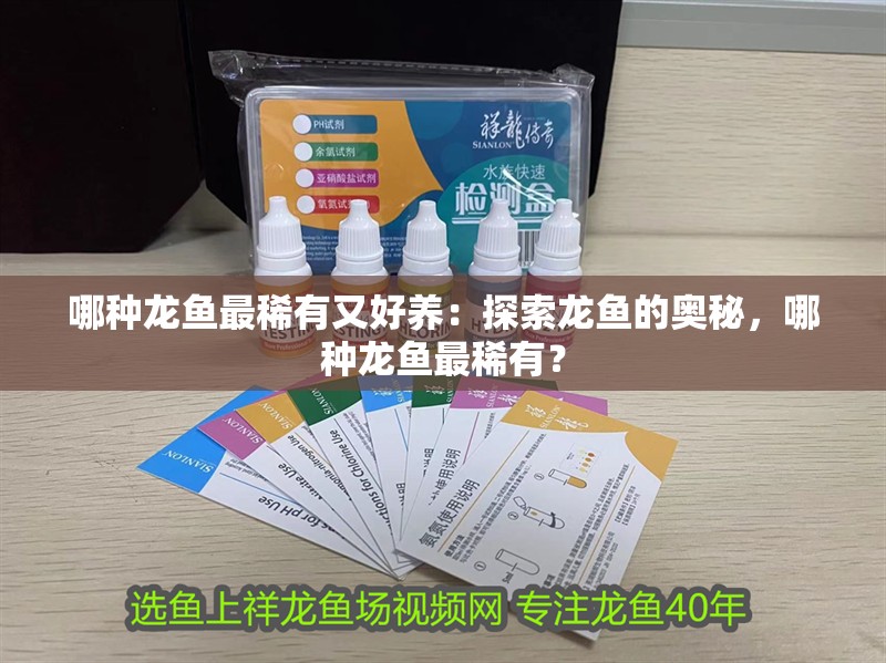 哪種龍魚最稀有又好養：探索龍魚的奧秘，哪種龍魚最稀有？