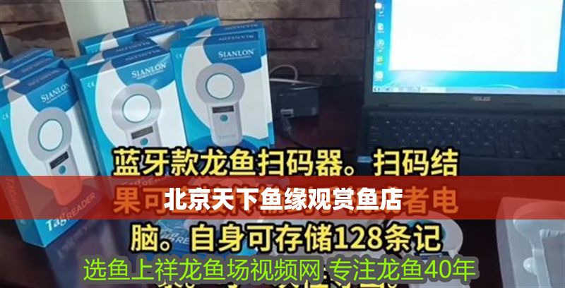 <strong><mark>北京</mark></strong>天下魚緣觀賞魚店