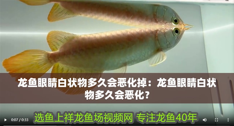 龍魚眼睛白狀物多久會惡化掉：龍魚眼睛白狀物多久會惡化？