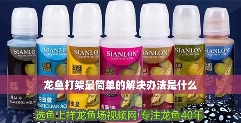 龍魚打架最簡單的解決辦法是什么