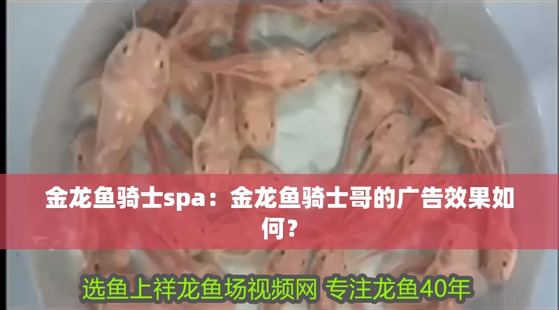 金龍魚騎士spa：金龍魚騎士哥的廣告效果如何？