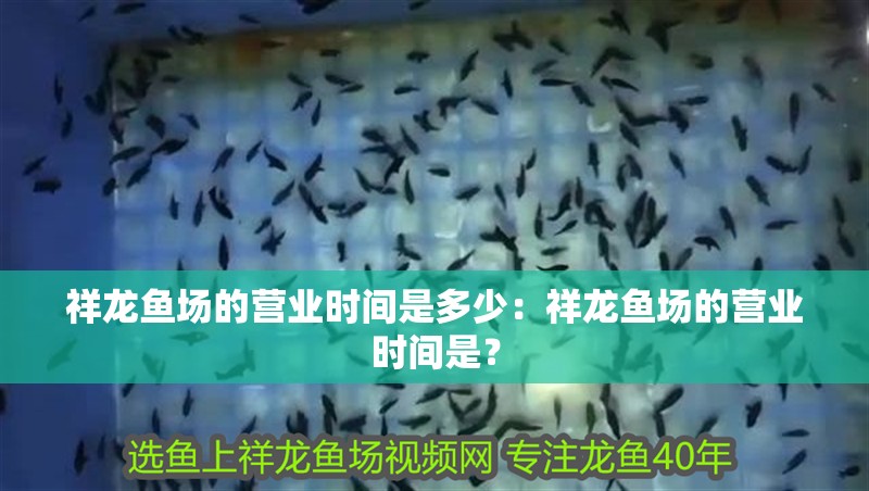 祥龍魚場的營業(yè)時間是多少：祥龍魚場的營業(yè)時間是？
