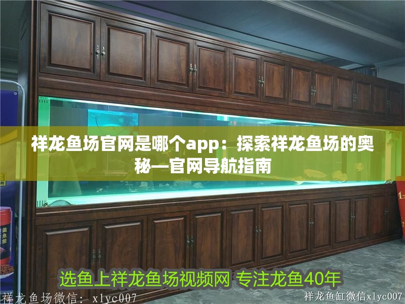 祥龍魚場官網是哪個app：探索祥龍魚場的奧秘—官網導航指南 祥龍魚場官網是哪個app：探索祥龍魚場的奧秘—官網導航指南 水族問答
