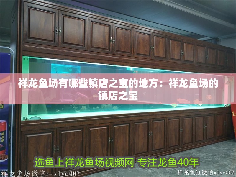 祥龍魚場有哪些鎮(zhèn)店之寶的地方：祥龍魚場的鎮(zhèn)店之寶