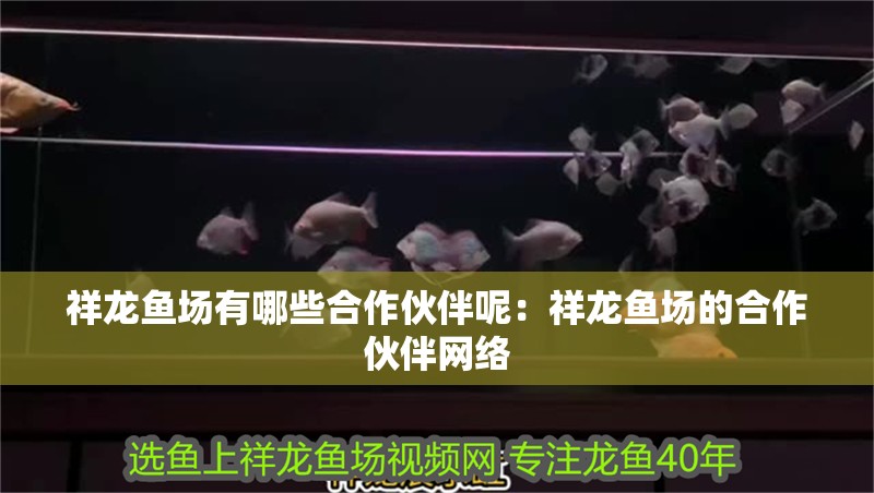 魚缸用增氧泵價格是多少:魚缸增氧機-xtrac增氧機-xtrac增氧機 祥龍魚場有哪些合作伙伴呢:祥龍魚場的合作伙伴網絡 水族問答 祥龍魚場有哪些合作伙伴呢:祥龍魚場的合作伙伴網絡 祥龍魚場有哪些合作伙伴呢:祥龍魚場的合作伙伴網絡 水族問答