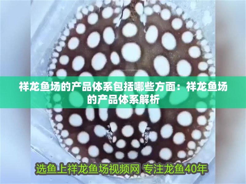 龍魚干蝦有營養嗎 祥龍魚場的產品體系包括哪些方面:祥龍魚場的產品體系解析 水族問答 祥龍魚場的產品體系包括哪些方面:祥龍魚場的產品體系解析 祥龍魚場的產品體系包括哪些方面:祥龍魚場的產品體系解析 水族問答