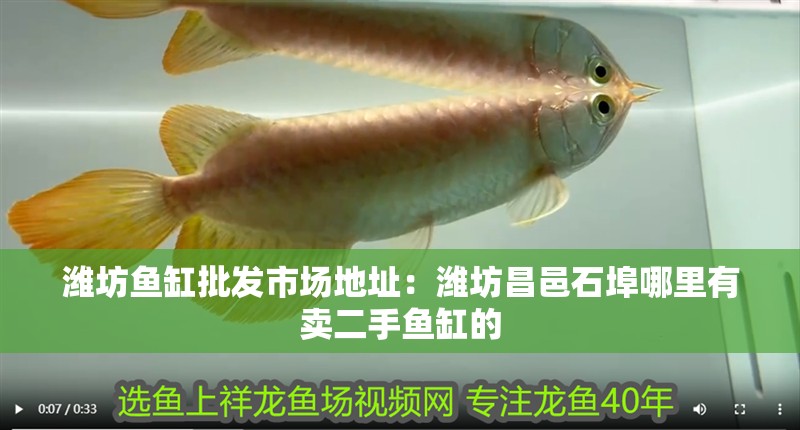 濰坊魚缸批發市場地址：濰坊<strong><mark>昌邑</mark></strong>石埠哪里有賣二手魚缸的