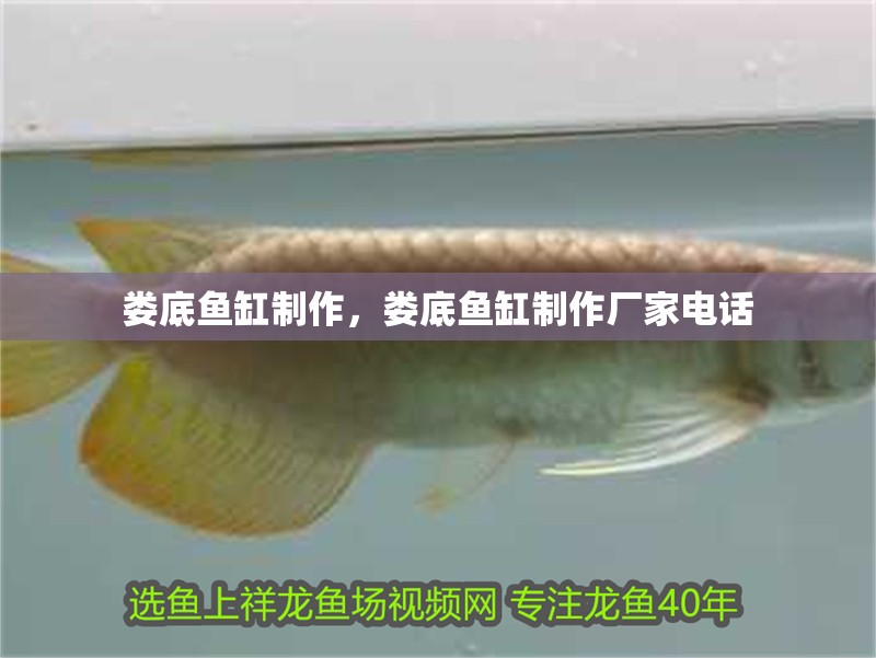 婁底魚缸制作，婁底魚缸制作廠家電話 婁底魚缸制作，婁底魚缸制作廠家電話 觀賞魚百科