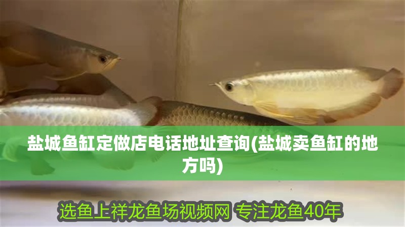 鹽城魚缸定做店電話地址查詢(鹽城賣魚缸的地方嗎)