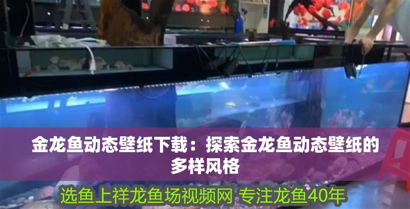 金龍魚動(dòng)態(tài)壁紙下載：探索金龍魚動(dòng)態(tài)壁紙的多樣風(fēng)格