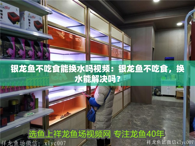 銀龍魚不吃食能換水嗎視頻：銀龍魚不吃食，換水能解決嗎？