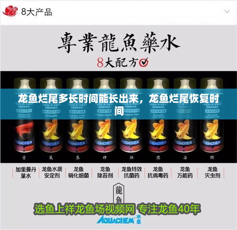龍魚爛尾多長時間能長出來，龍魚爛尾恢復時間