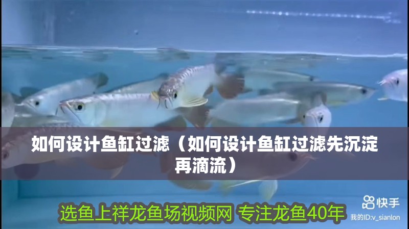 如何設(shè)計(jì)魚缸過(guò)濾（如何設(shè)計(jì)魚缸過(guò)濾先沉淀再滴流）
