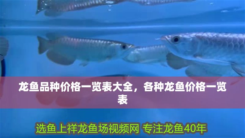 龍魚品種價(jià)格一覽表大全，各種龍魚價(jià)格一覽表 龍魚品種價(jià)格一覽表大全，各種龍魚價(jià)格一覽表 龍魚百科 第2張