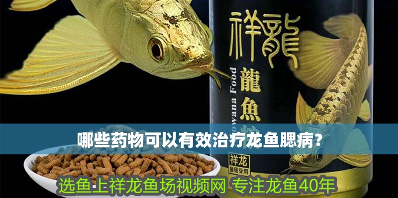 哪些藥物可以有效治療龍魚腮病？
