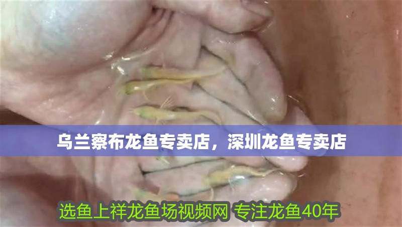 魚缸用增氧泵價格是多少:魚缸增氧機-xtrac增氧機-xtrac增氧機 烏蘭察布龍魚專賣店,深圳龍魚專賣店 觀賞魚百科 烏蘭察布龍魚專賣店,深圳龍魚專賣店 烏蘭察布龍魚專賣店,深圳龍魚專賣店 觀賞魚百科