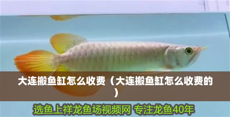 大連搬魚(yú)缸怎么收費(fèi)（大連搬魚(yú)缸怎么收費(fèi)的）