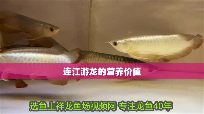 連江游龍的營養價值