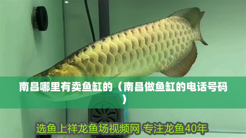 南昌哪里有賣魚缸的（南昌做魚缸的電話號碼）
