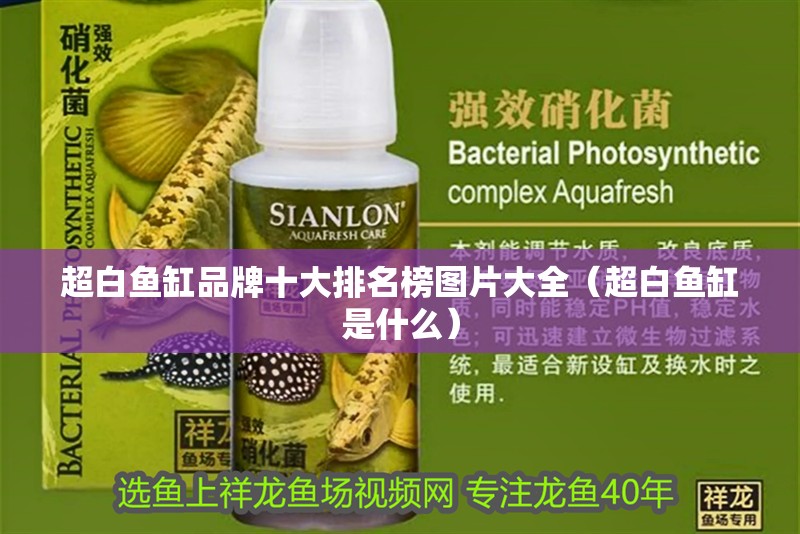 超白魚缸品牌十大排名榜圖片大全（超白魚缸是什么） 超白魚缸品牌十大排名榜圖片大全（超白魚缸是什么） 觀賞魚百科