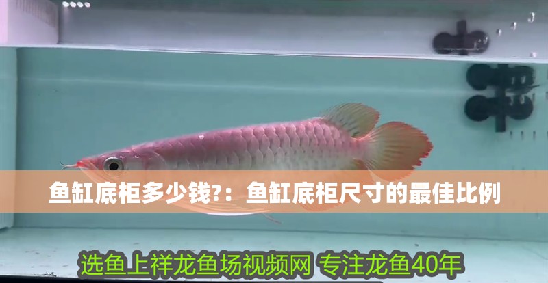 魚(yú)缸底柜多少錢(qián)?：魚(yú)缸底柜尺寸的最佳比例