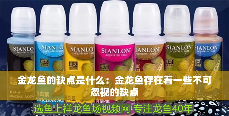 金龍魚的缺點是什么：金龍魚存在著一些不可忽視的缺點