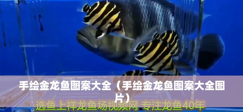 手繪金龍魚(yú)圖案大全（手繪金龍魚(yú)圖案大全圖片）