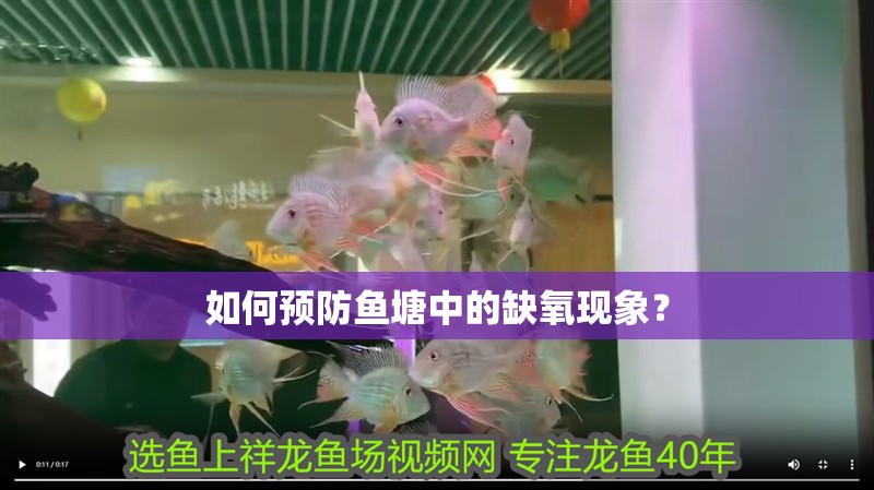 如何預防魚塘中的缺氧現象？