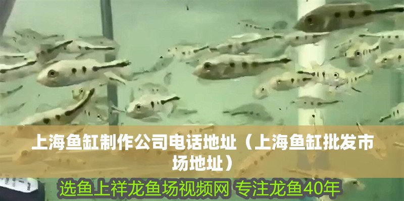 上海魚缸制作公司電話地址（上海魚缸批發市場地址）