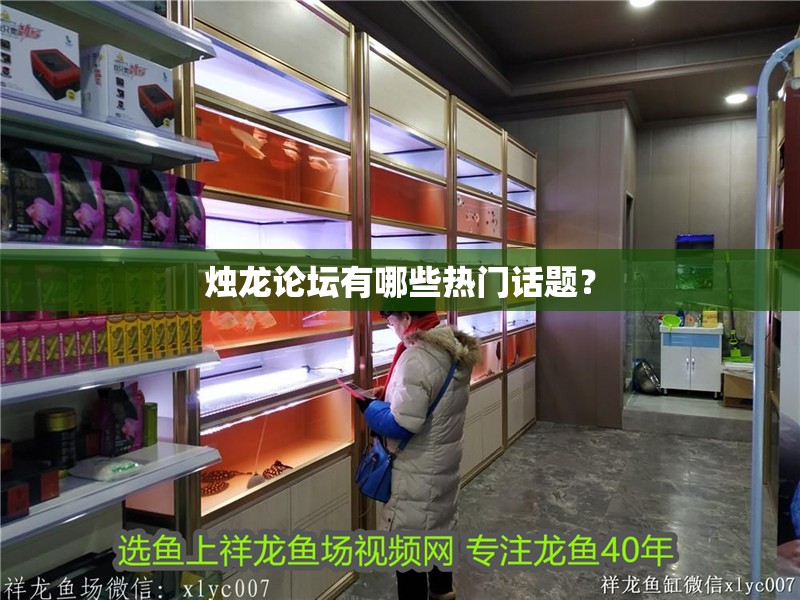 燭龍論壇有哪些熱門話題？