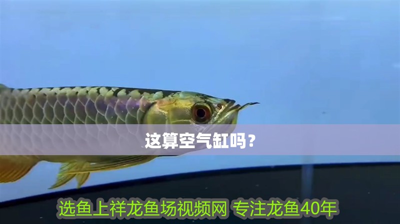 這算空氣缸嗎？