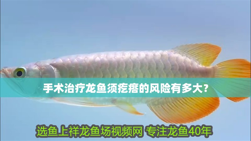 手術(shù)治療龍魚須疙瘩的風(fēng)險有多大？